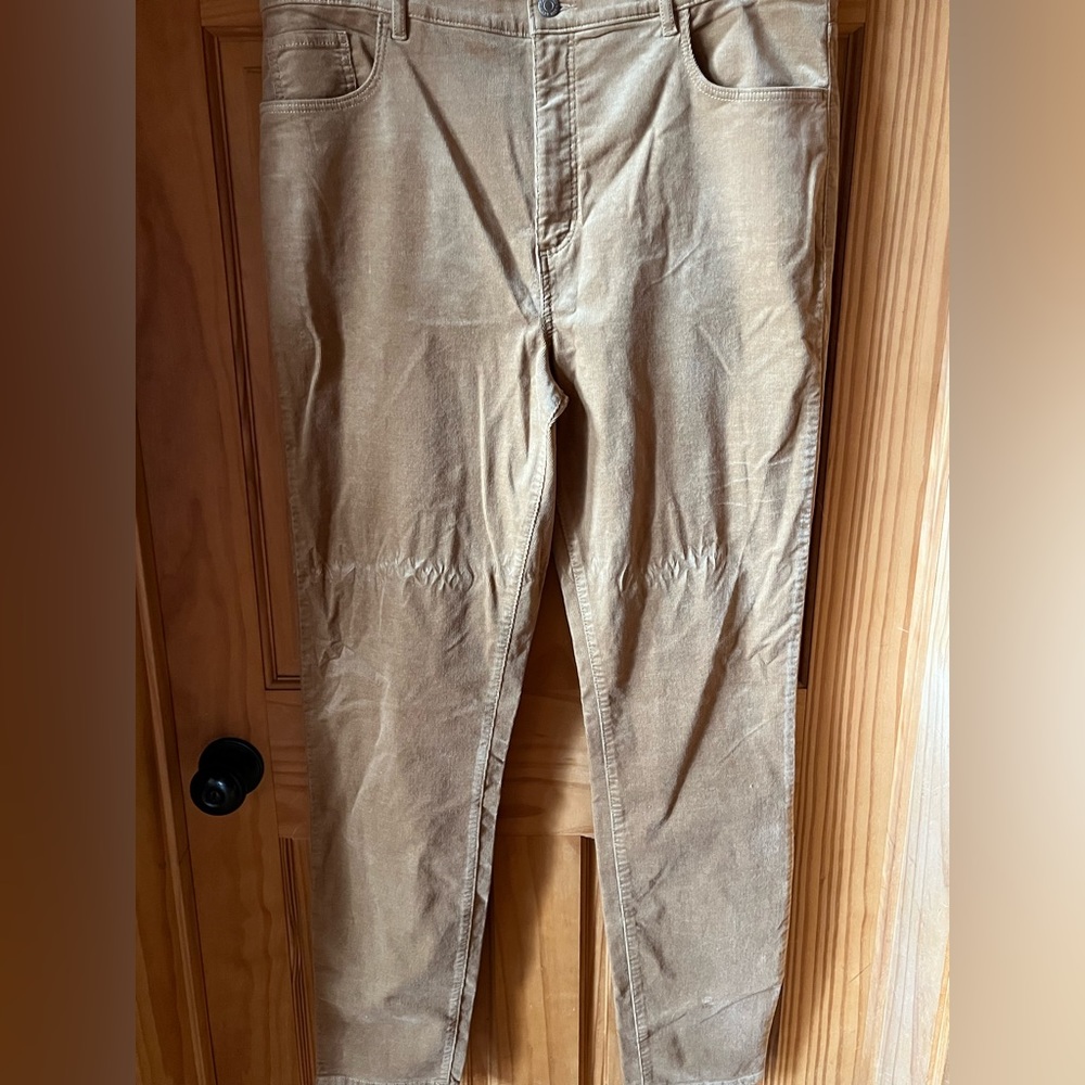 NWT Loft 16 Tall Skinny Corduroy Jeans